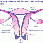 photo courtesy of cancerresearchuk.org