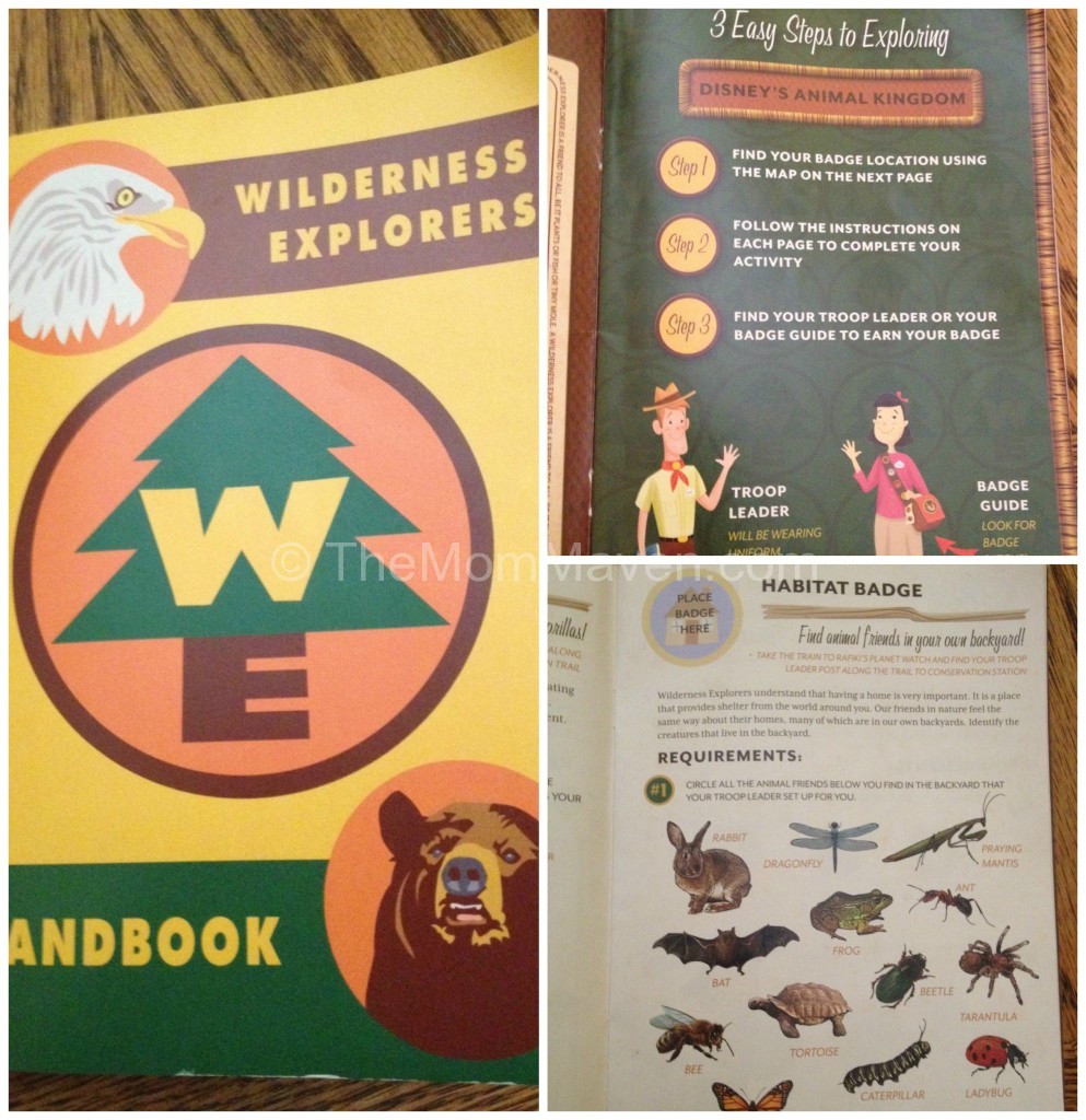 Wilderness Explorers