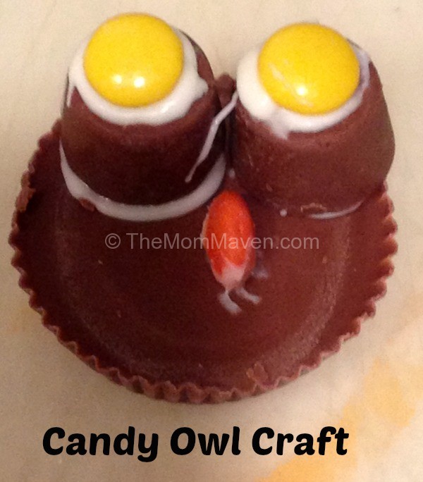 Candy Owl Craft