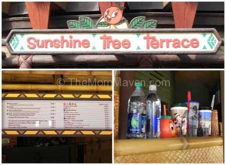 Sunshine Tree Terrace-Adventureland