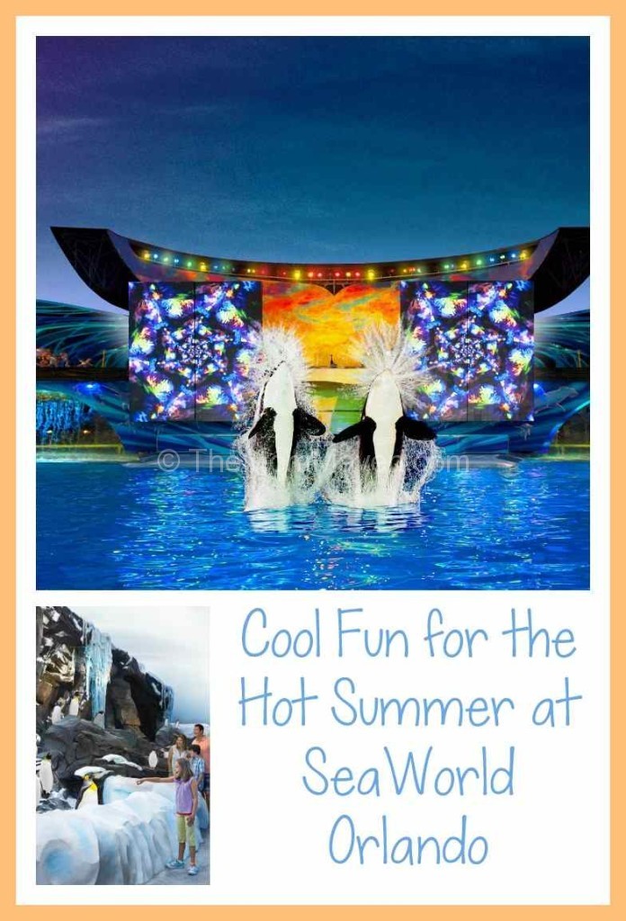 SeaWorld Orlando Summer Nights 14