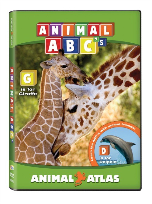 Animal Atlas-Animal ABCs-TheMomMaven.com