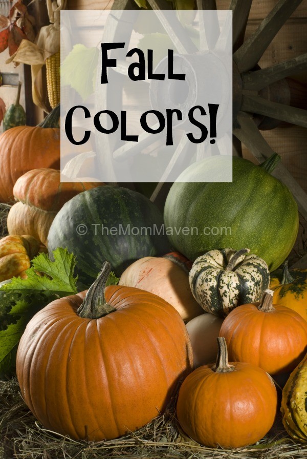Decorate with Fall Colors-themommaven.com