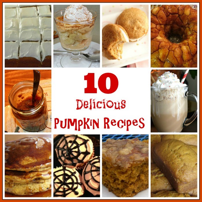 10 Delicious Pumpkin Recipes-TheMomMaven.com