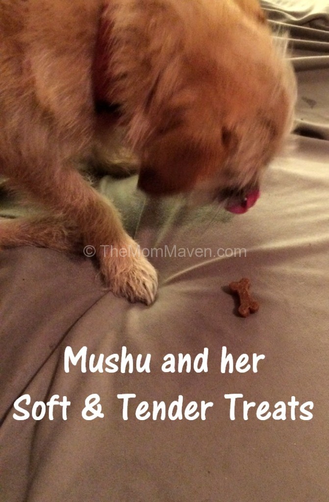 Nutrisource soft & tender dog treats