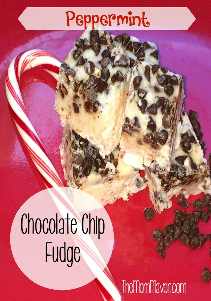 If you have these 5 ingredients and 10 minutes you can whip up this delicious Peppermint Chocolate Chip Fudge. It is a fun and easy sweet treat to add to your Christmas celebration.
