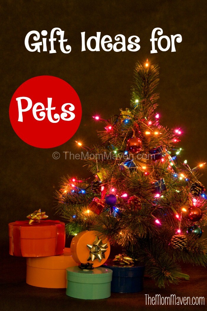 Gift Ideas for Pets