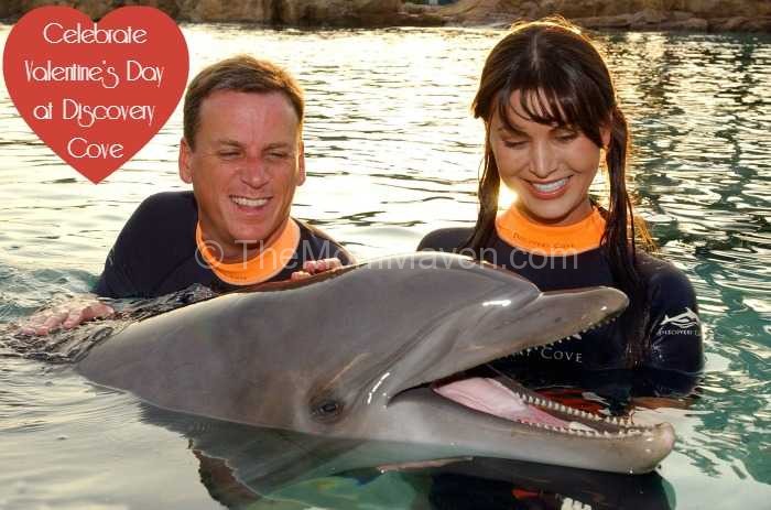 Celebrate Valentine's Day at Discovery Cove