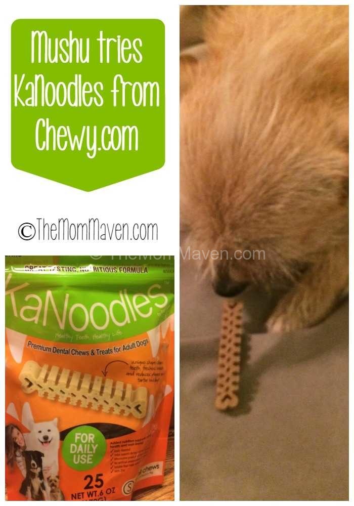 KaNoodles dental chews for dogs from Chewy-