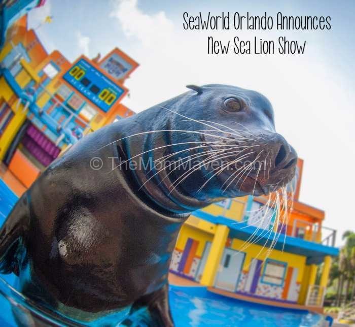 Clyde and Seamore's Sea Lion High