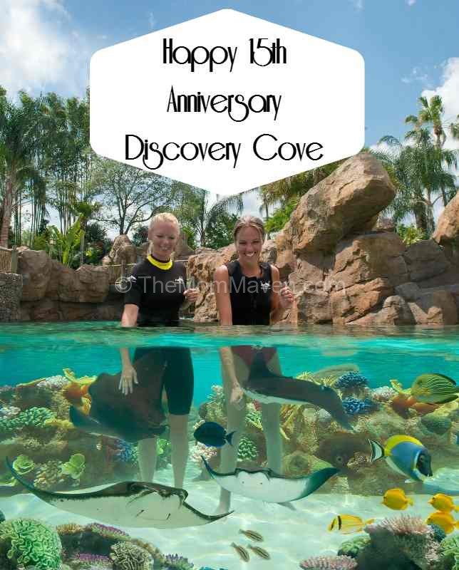 Happy 15th Anniversary Discovery Cove from The Mom Maven