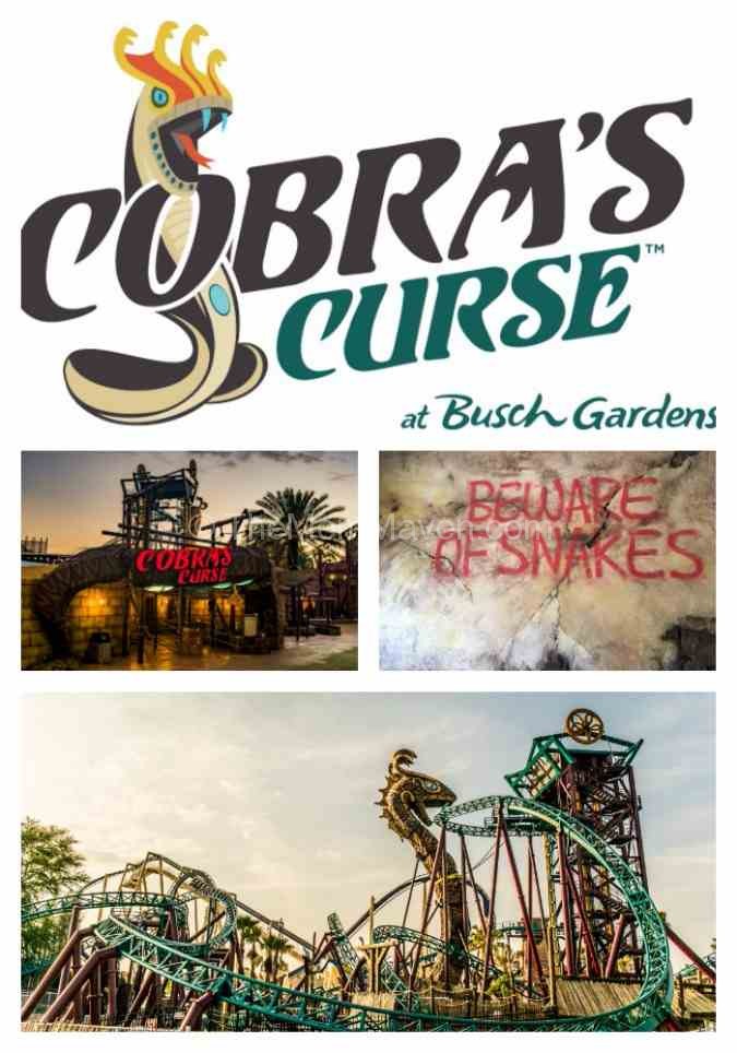 Cobra's Curse the newest ride at Busch Gardens Tampa is a family spin coaster for riders 42" and taller.