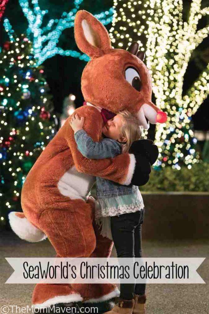 You can meet Rudolph and Friends at SeaWorld's Christmas Celebration in 2016!