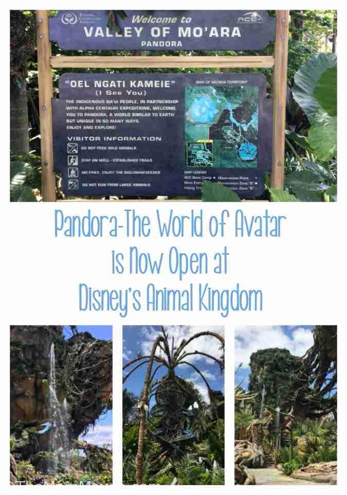 Pandora The World of Avatar is Now Open at Disney's Animal Kingdom.