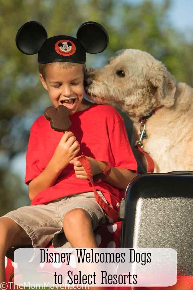 The welcome mutt is out! Walt Disney World now welcomes dogs at select resorts.