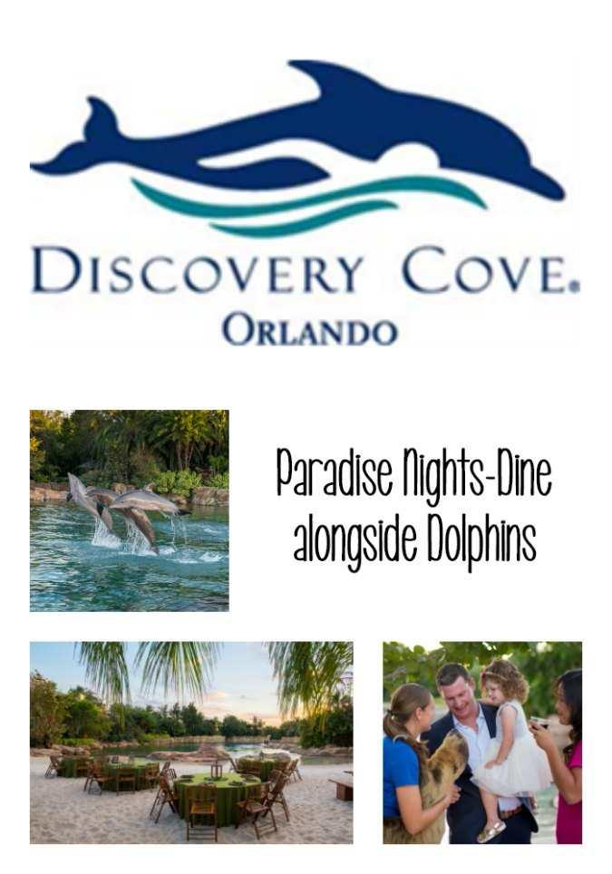 Discovery Cove is offering a brand new nighttime experience that includes dinner, drinks, and a dolphin presentation. Guests can now choose from select evenings throughout 2018 to book Paradise Nights at Discovery Cove.