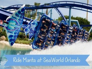 Manta-SeaWorld Orlando