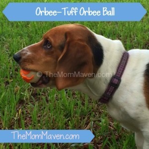 Beartrap with Orbee-Tuff-TheMomMaven.com