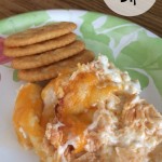 Whip up some Buffalo Chicken Dip for your next party.