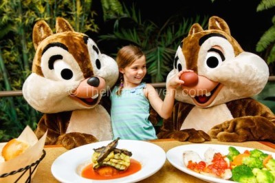 Epcot's Garden Grill restaurant adding Breakfast and Lunch character dining in the fall of 2015.