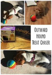 outward hound cat toys