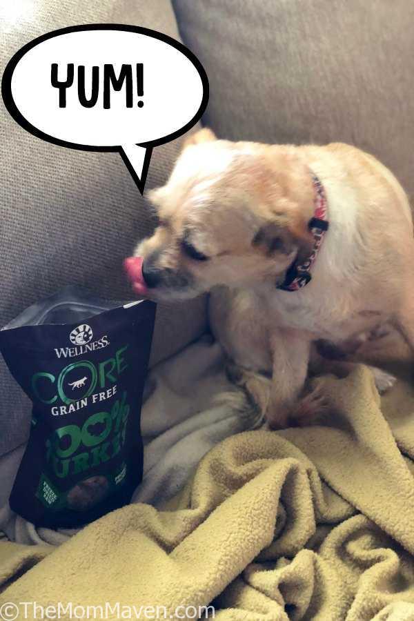 If your pup is grain free like Mushu is, your pup will love the Wellness CORE Grain Free 100% Turkey Freeze Dried Natural Dog Treats.
