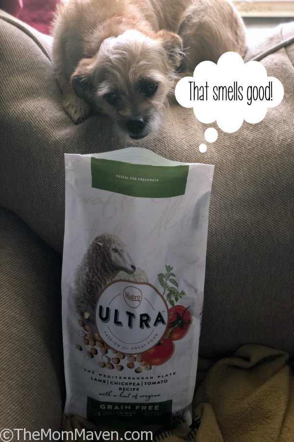 Each Nutro Ultra Grain-Free Dog Food recipe starts with real meat, poultry, or fish as the very first ingredient, followed by real vegetables or fruits, plus a hint of herbs! 
