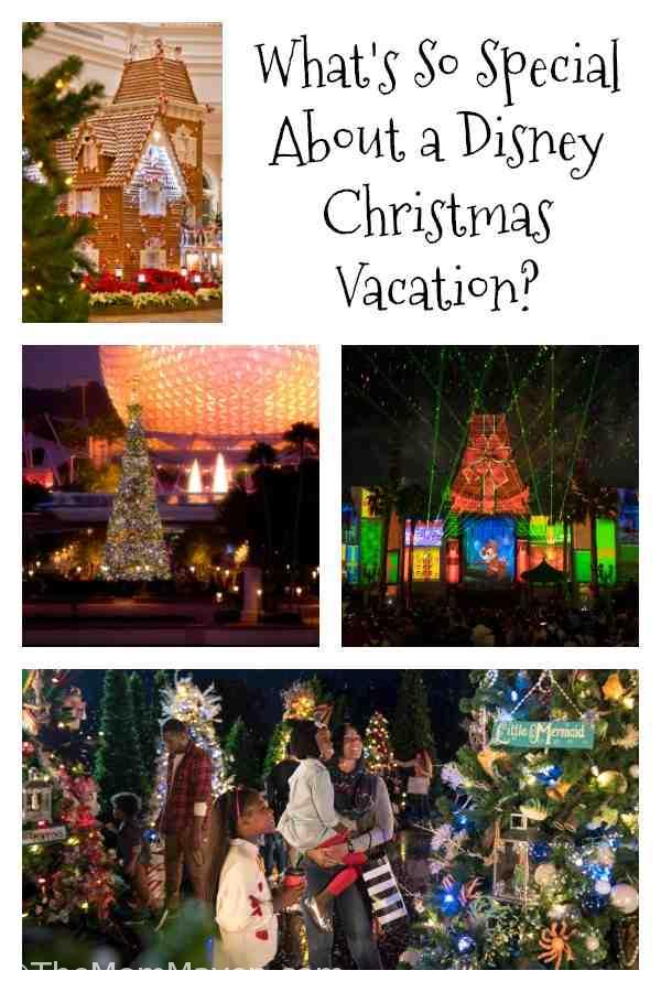 What's So Special About a Disney Christmas Vacation? Everything!