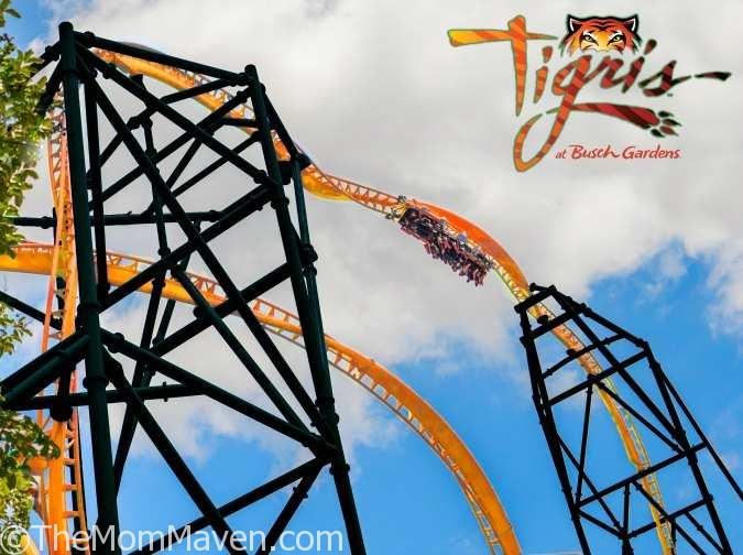 Opening Spring 2019 at Busch Gardens® Tampa Bay – Take on Tigris, Florida’s tallest launch coaster, with an exhilarating triple launch, and a 150-foot skyward surge. #takeontigris
