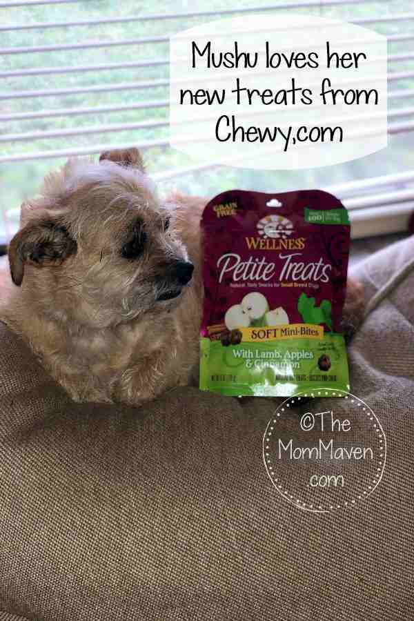 Mushu has a new favorite treat and it is Wellness Petite Treats which she got from Chewy.com. She loves that they are small, soft, and delicious.