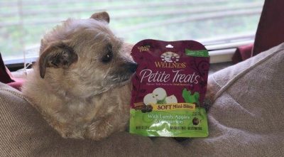 wellness petite treats for dogs