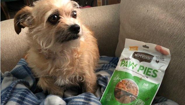 Mushu celebrated her 7th birthday with Chicken Paw Pies from Rachel Ray Nutrish from Chewy.com.