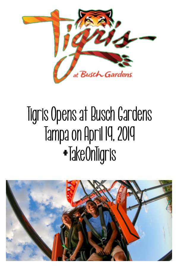 Busch Gardens® Tampa Bay will officially open Tigris, a triple-launch steel roller coaster, on Friday, April 19, 2019. 