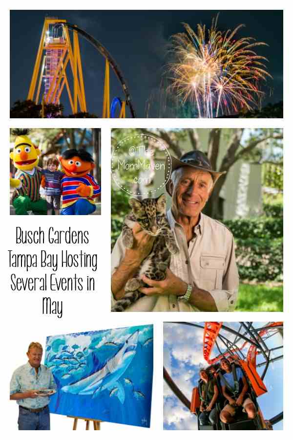 Busch Gardens Tampa Bay continues its 60th anniversary celebration with 52 weeks of events including the return of fan-favorite experiences and NEW offerings in the month of May.