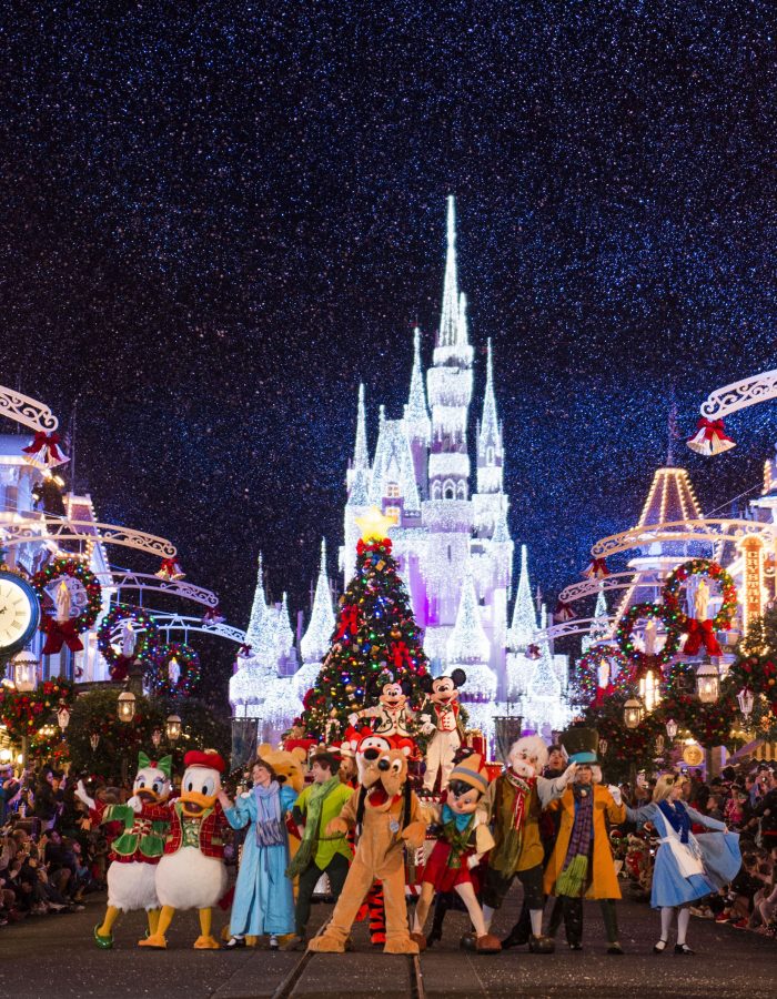 Planning a visit to Walt Disney World Resort for the holidays? Then you can’t miss Mickey’s Very Merry Christmas Party at Magic Kingdom Park, which celebrates the season with festive decor, glittering holiday lights, special photo opportunities, holiday entertainment you have to see to believe, snow on Main Street, U.S.A., and so much more.