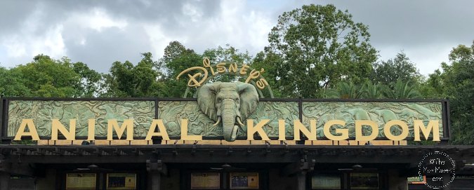 We finally know which Walt Disney World attractions will be open when the parks reopen in July. We have the full list right here for your convenience.
