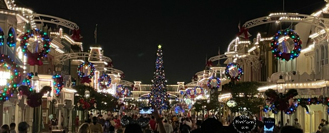 There is still time to plan your magical visit to enjoy all of the Magic Kingdom holiday fun and food this year.